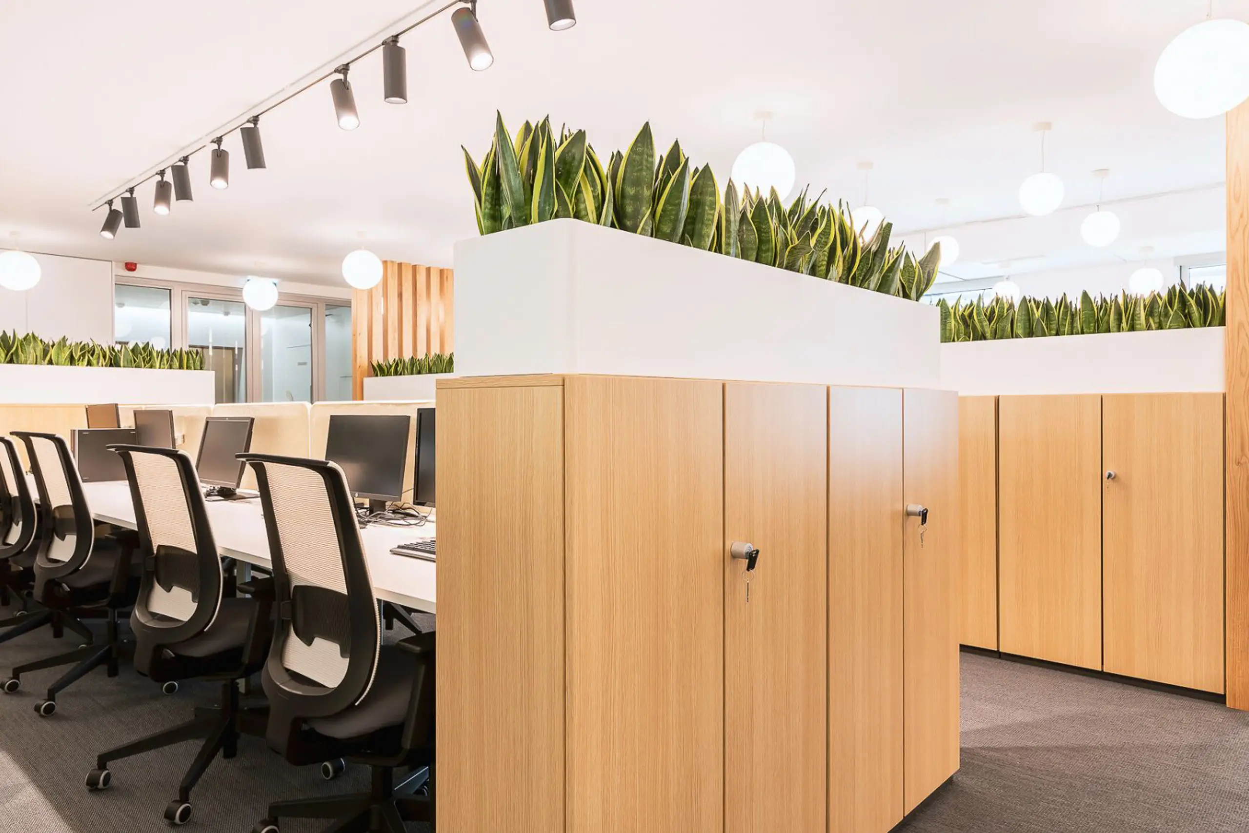 Espaço de escritório moderno com mesas partilhadas, cadeiras ergonómicas e divisórias de madeira com plantas, combinando funcionalidade, conforto e estética.